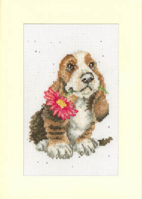 Especially For You Card Kit