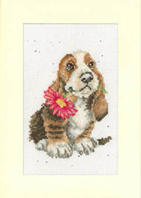 Especially For You Card Kit