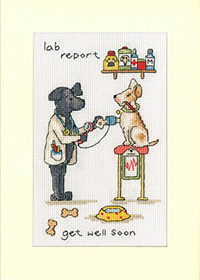 Lab Report Greeting Cards Kit
