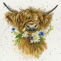 Daisy Coo Kit