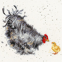 Mother Hen Kit