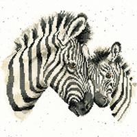 Racing Stripes Kit