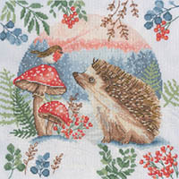 Woodland Wander Kit