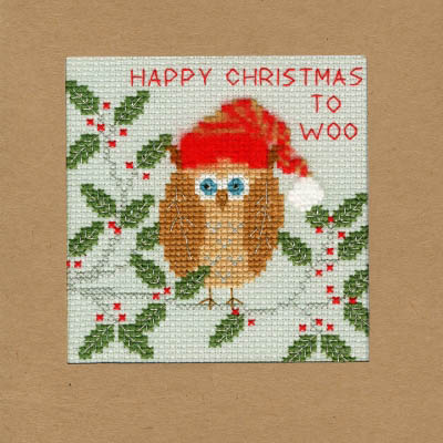 Xmas Owl Christmas Card Kit