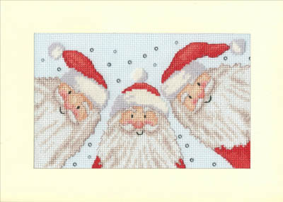 Santa Selfie Christmas Card Kit