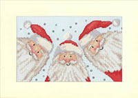 Santa Selfie Christmas Card Kit