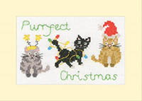 Perfect Christmas Christmas Card Kit