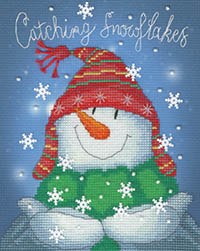 Catching Snowflakes Kit