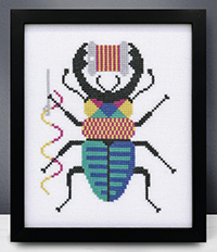 Stitchy Bug