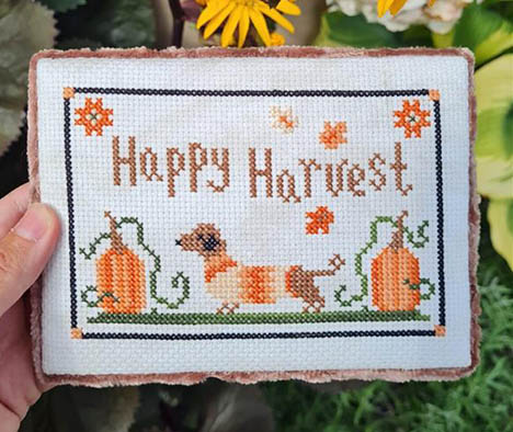 Happy Harvest