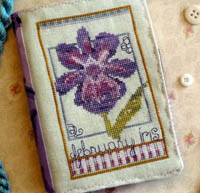 February Iris
