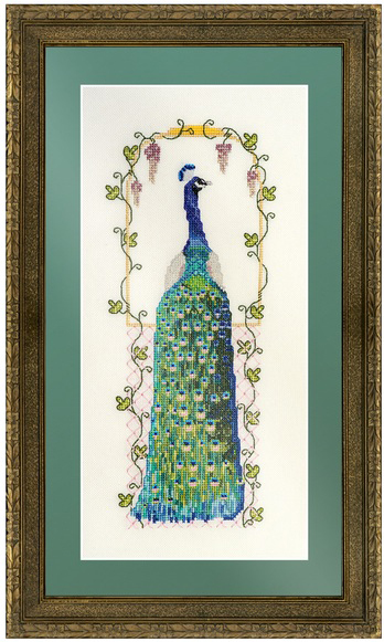 Peacock