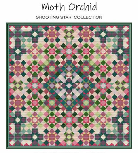 Shooting Star - Moth Orchid