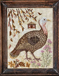 A Year in the Woods II #5- The Turkey