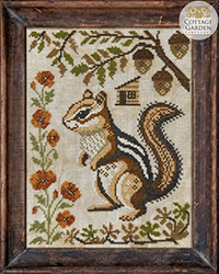 Year In The Woods II #6 - The Chipmunk