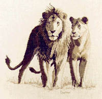 Pride
