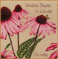 Wisdom