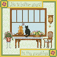 Better in the Sunshine