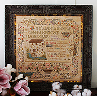 Cicadas Song Sampler