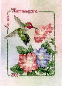 2005 Anna's Hummingbird