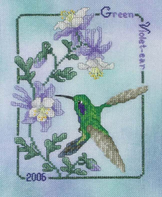 2006 Green Violet-ear Hummingbird