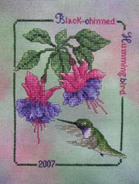 2007 Black Chin Hummingbird