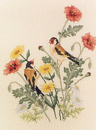 European Goldfinches