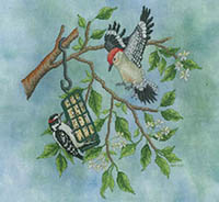 Suet Duet