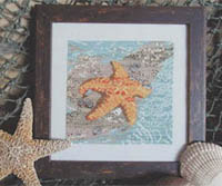 Wish Upon A Starfish