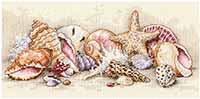 Seashell Treasures Kit