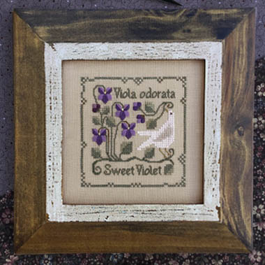 The Sweet Violet