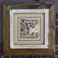 The Sweet Violet