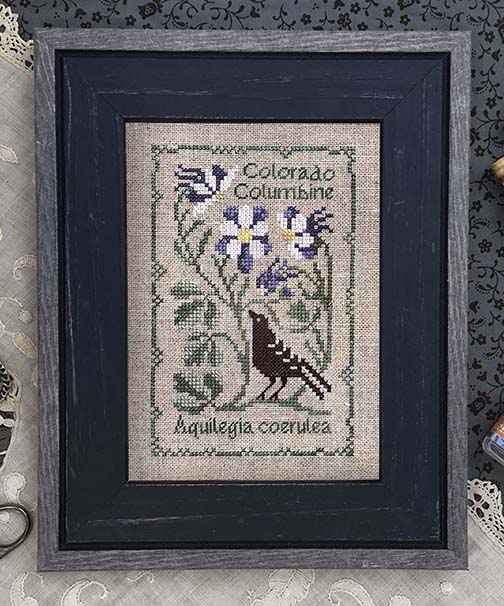Botanical Stitches - Colorado Columbine