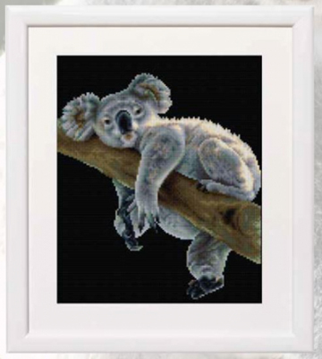 Koala Kit