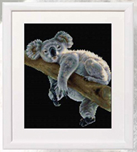 Koala Kit