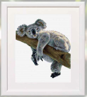 Koala Kit