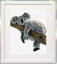 Koala Kit
