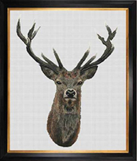 Red Deer Kit (Aida)