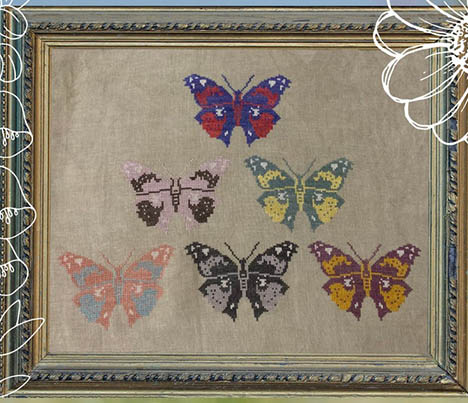 Butterfly Study