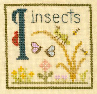 Alphabet Series - I is for Insects