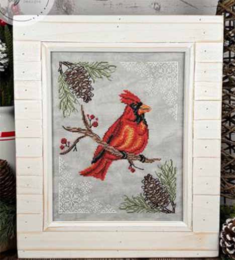 Bidrs in Nature - Cardinal