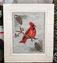 Bidrs in Nature - Cardinal