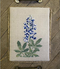 Bluebonnets