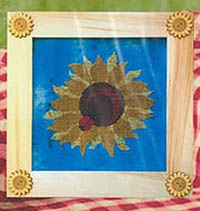 Lady Sunflower