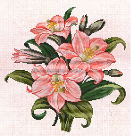 Amaryllis Bouquet