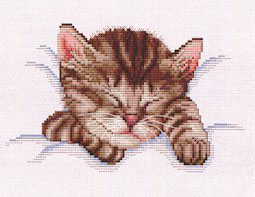 Sleeping Kitty