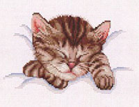 Sleeping Kitty