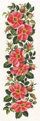 Wild Rose Border