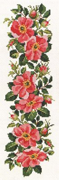Wild Rose Border