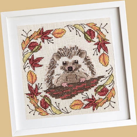 Woodland Hedgehog